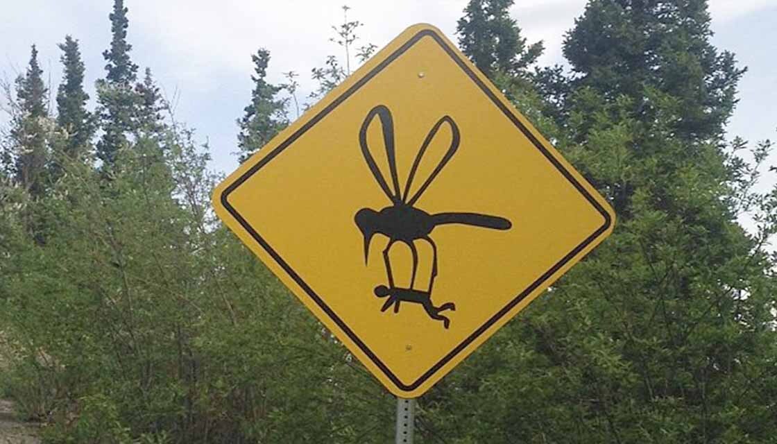 Знак осторожно комары