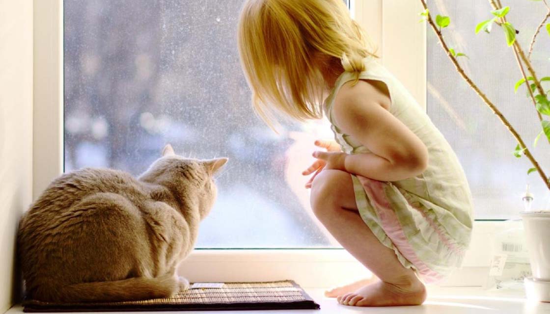 Ребенок и кот на окне
